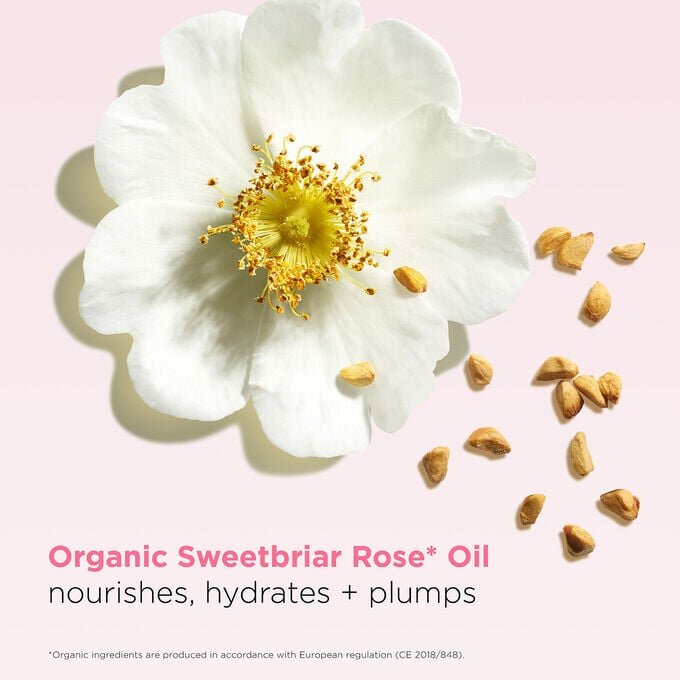 Dúo Lip Comfort - Cherry: Lip Comfort Oil y bálsamo labial