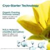 Mascarilla Cryo-Flash: mascarilla facial en gel-crema que refina los poros y reafirma el rostro